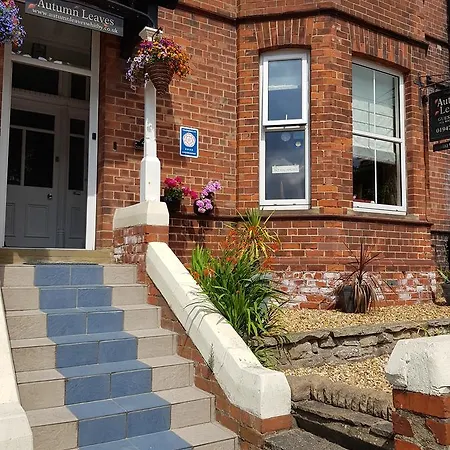 Gasthuis Autumn Leaves Whitby